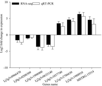 Transcriptome analysis provides insights into the response of Lotus corniculatus roots to low-phosphorus stress